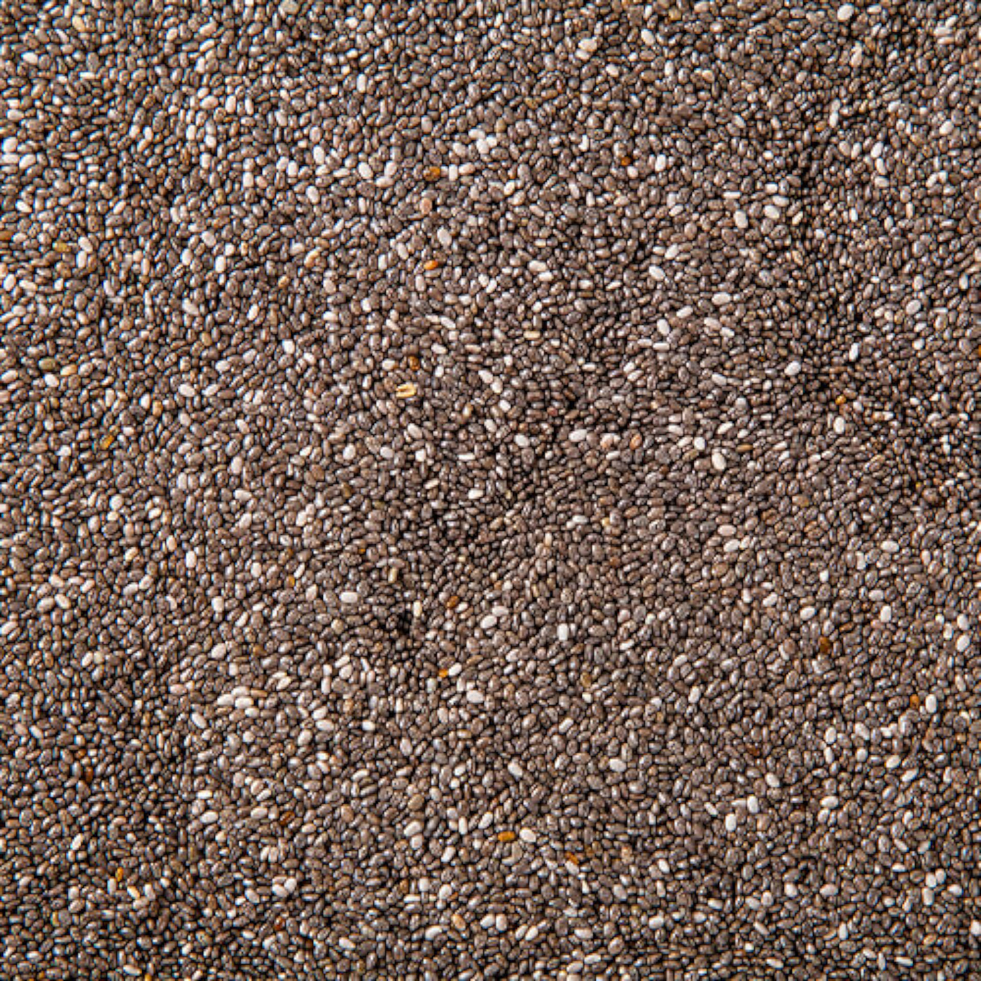 Graines de chia