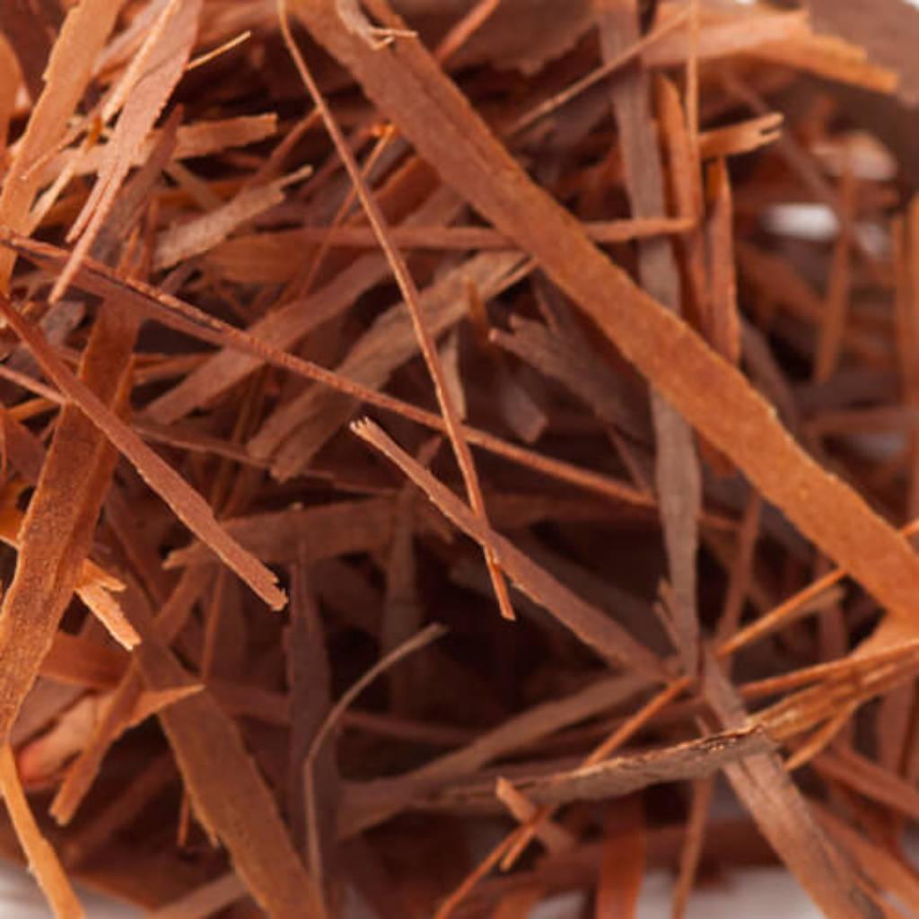 Echinacea purpurea root