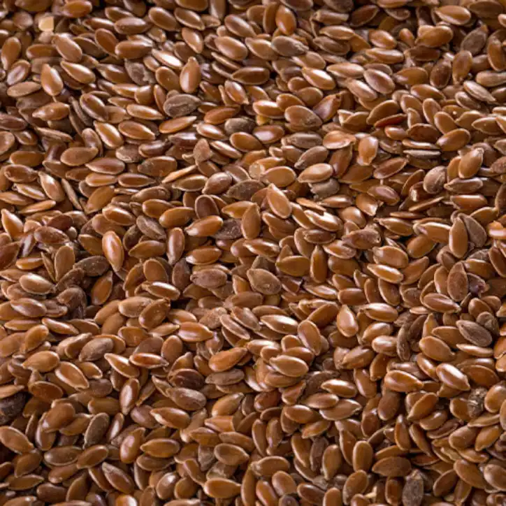 Flax Seed