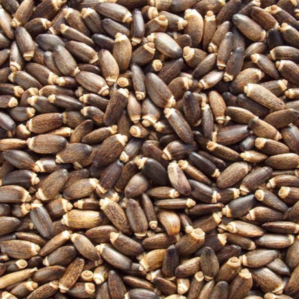 Milk thistle seed extract