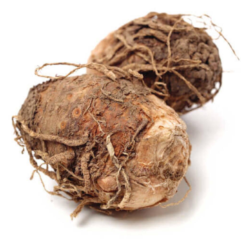 Typhonium rhizome