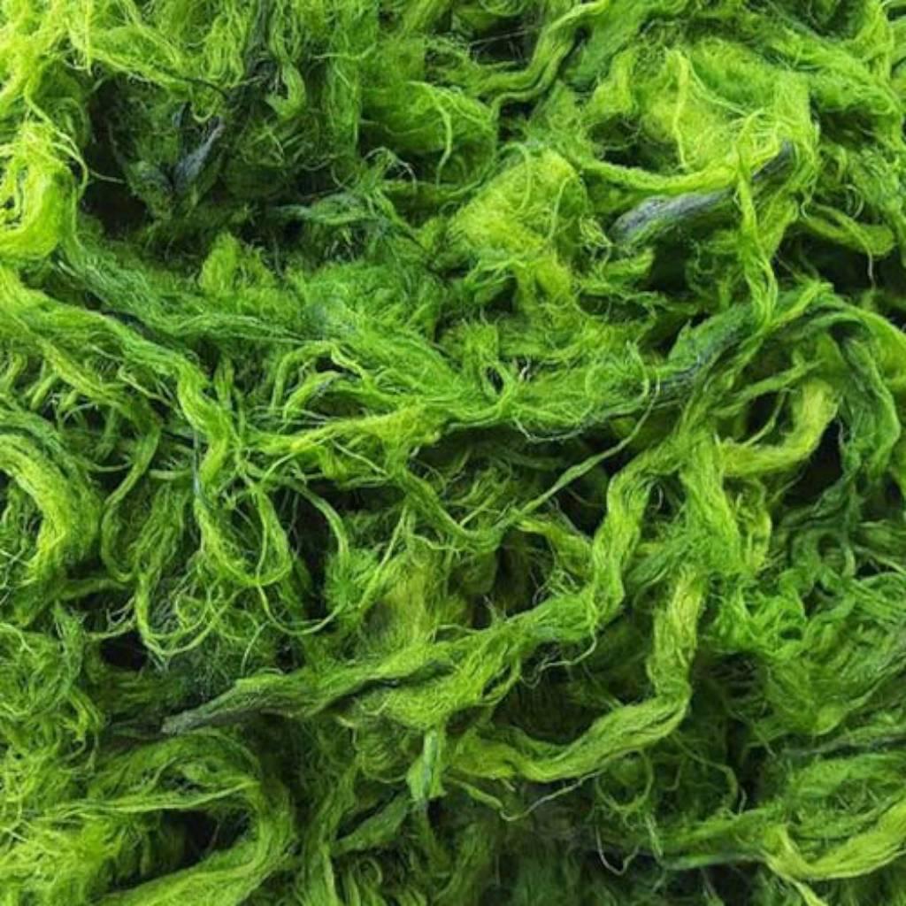 spirulina