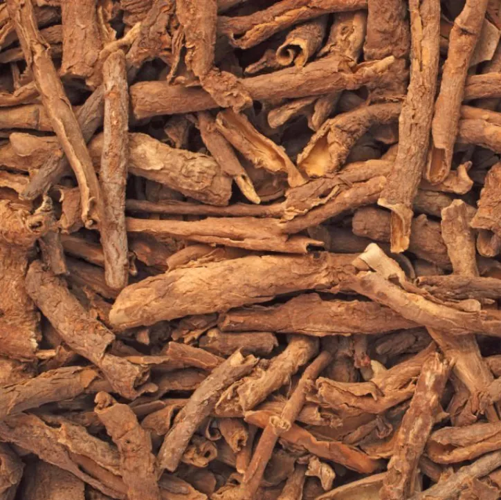 Stillingia Root