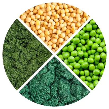 PREMIUM_SUPERFOOD_PROTEIN_BLEND-724-1920.webp