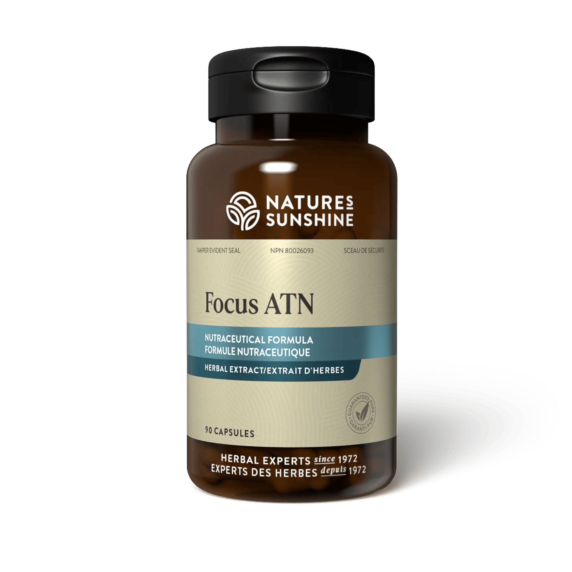 Focus Atn