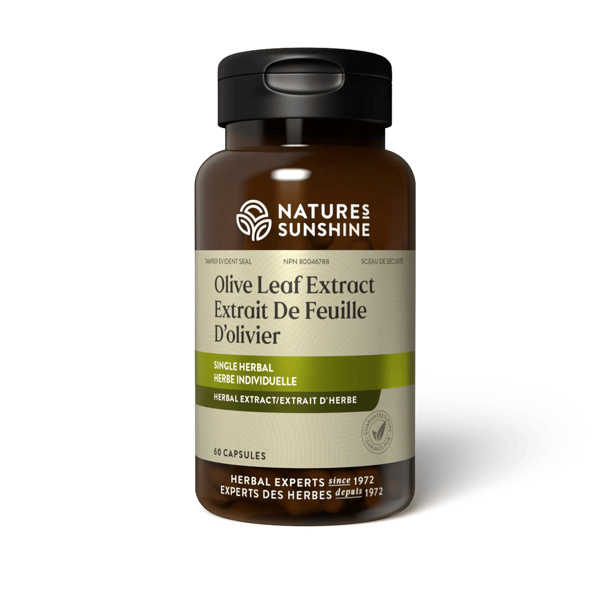 Olive Leaf Extract