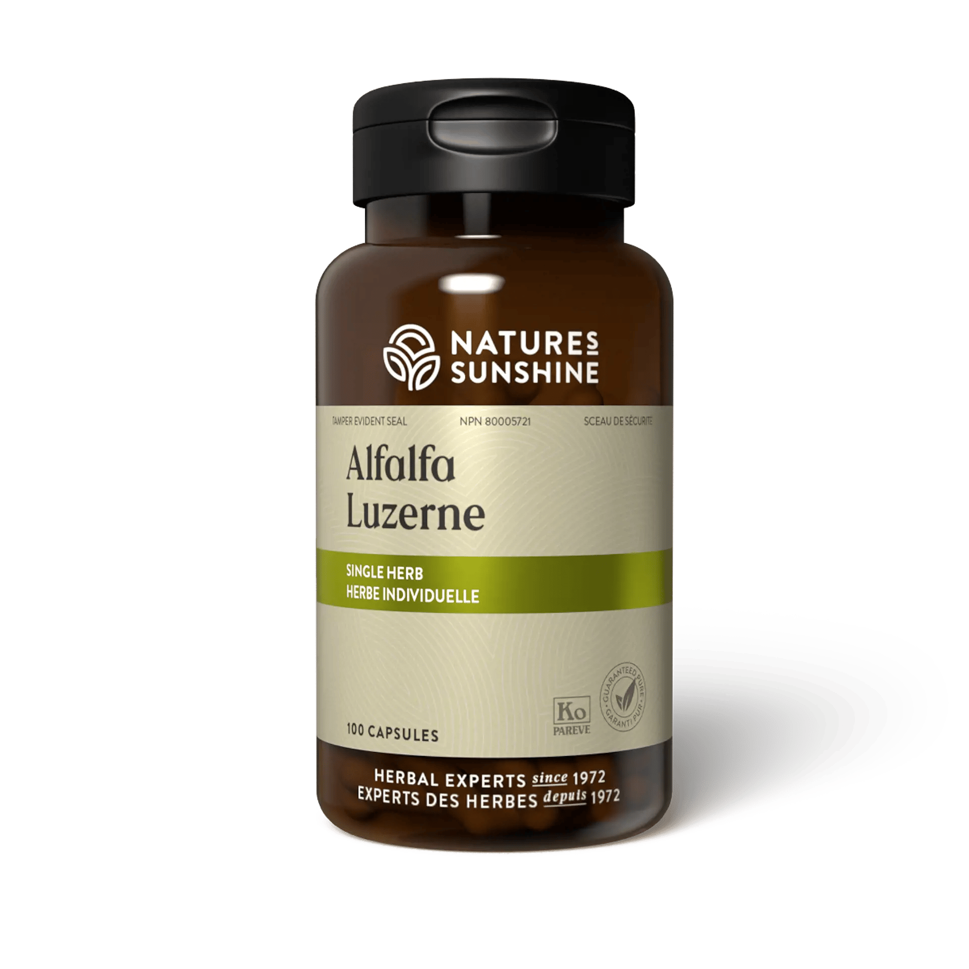 Alfalfa