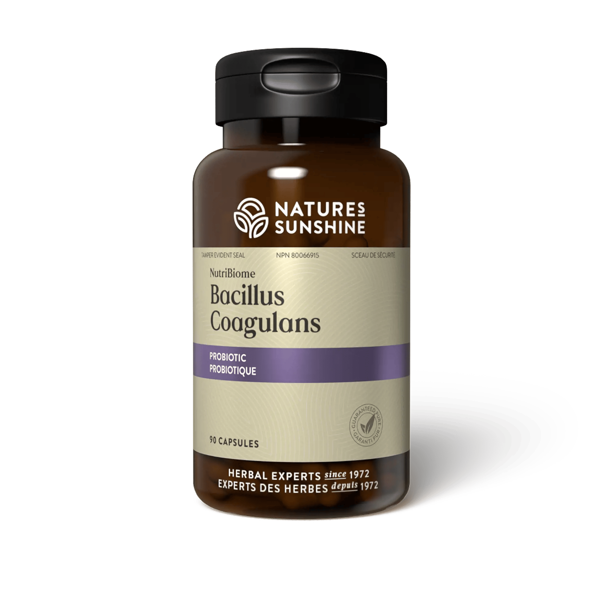 Nutribiome Bacillus Coagulans