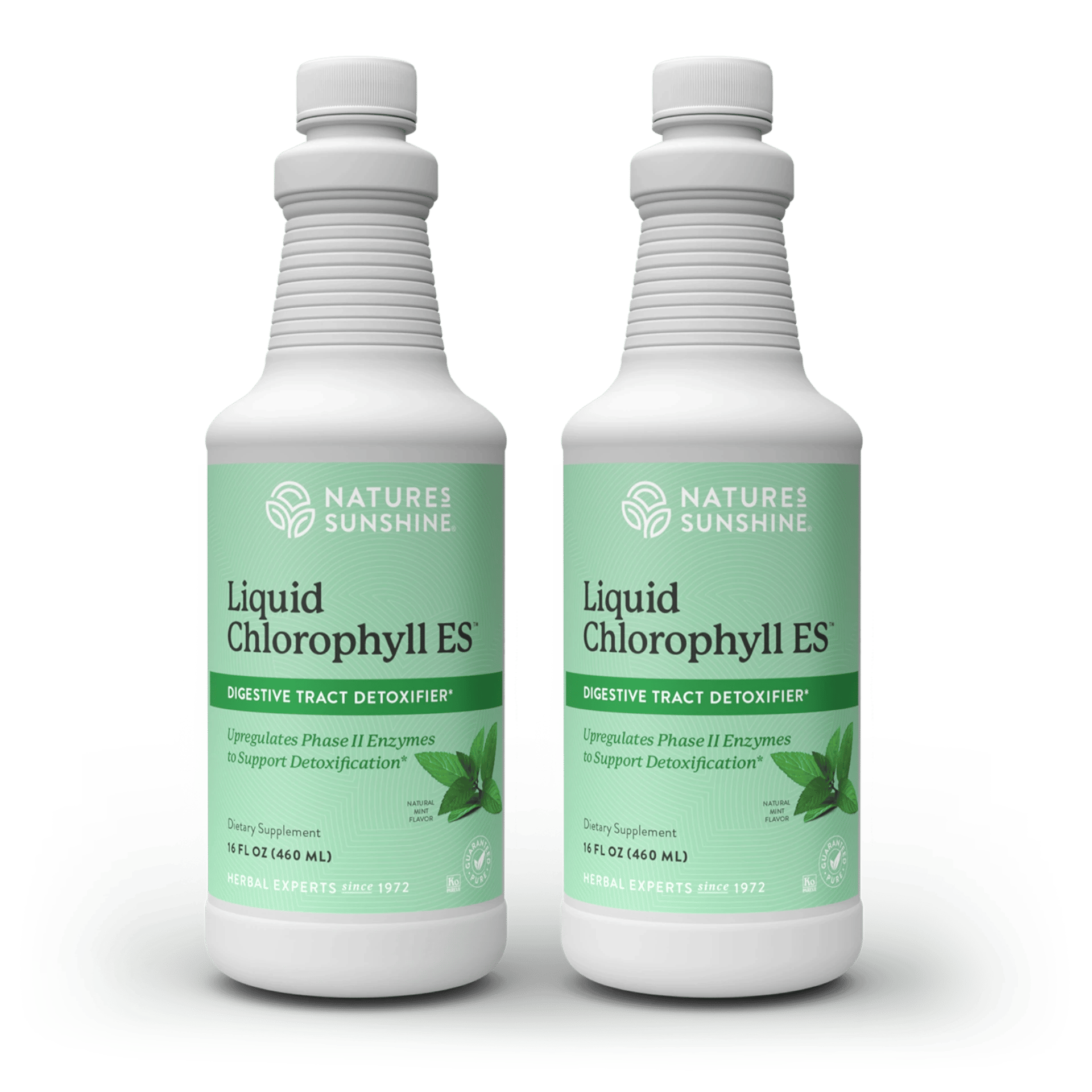 Chlorophyll ES, Liquid (Two 16 fl. oz. bottles)