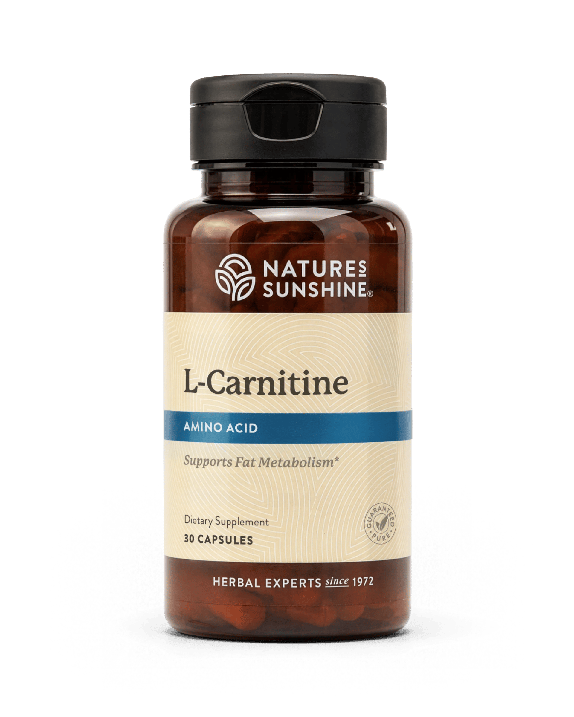 Nature's Sunshine l-Carnitine bottle, 30 Capsules