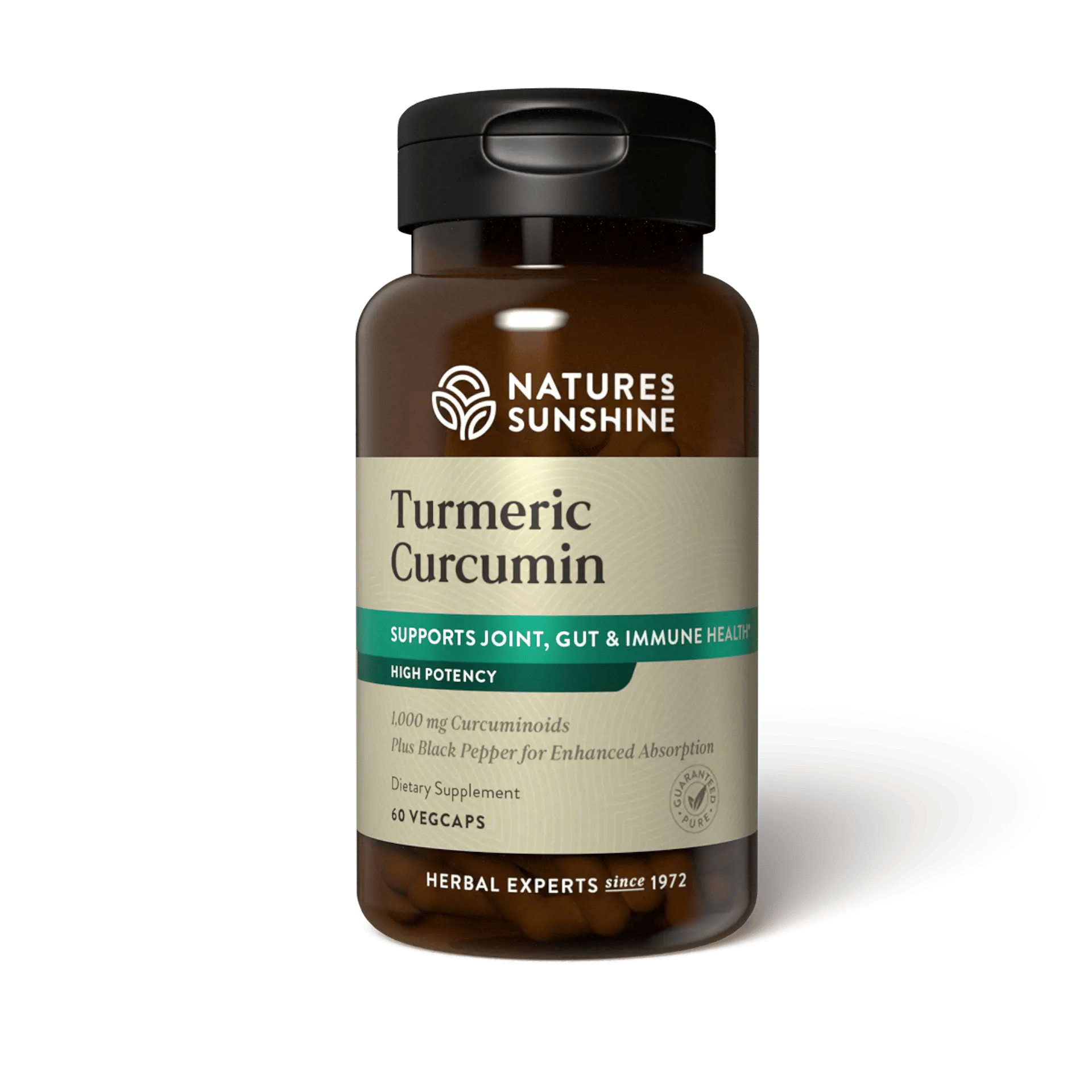 Turmeric Curcumin (60 capsules)