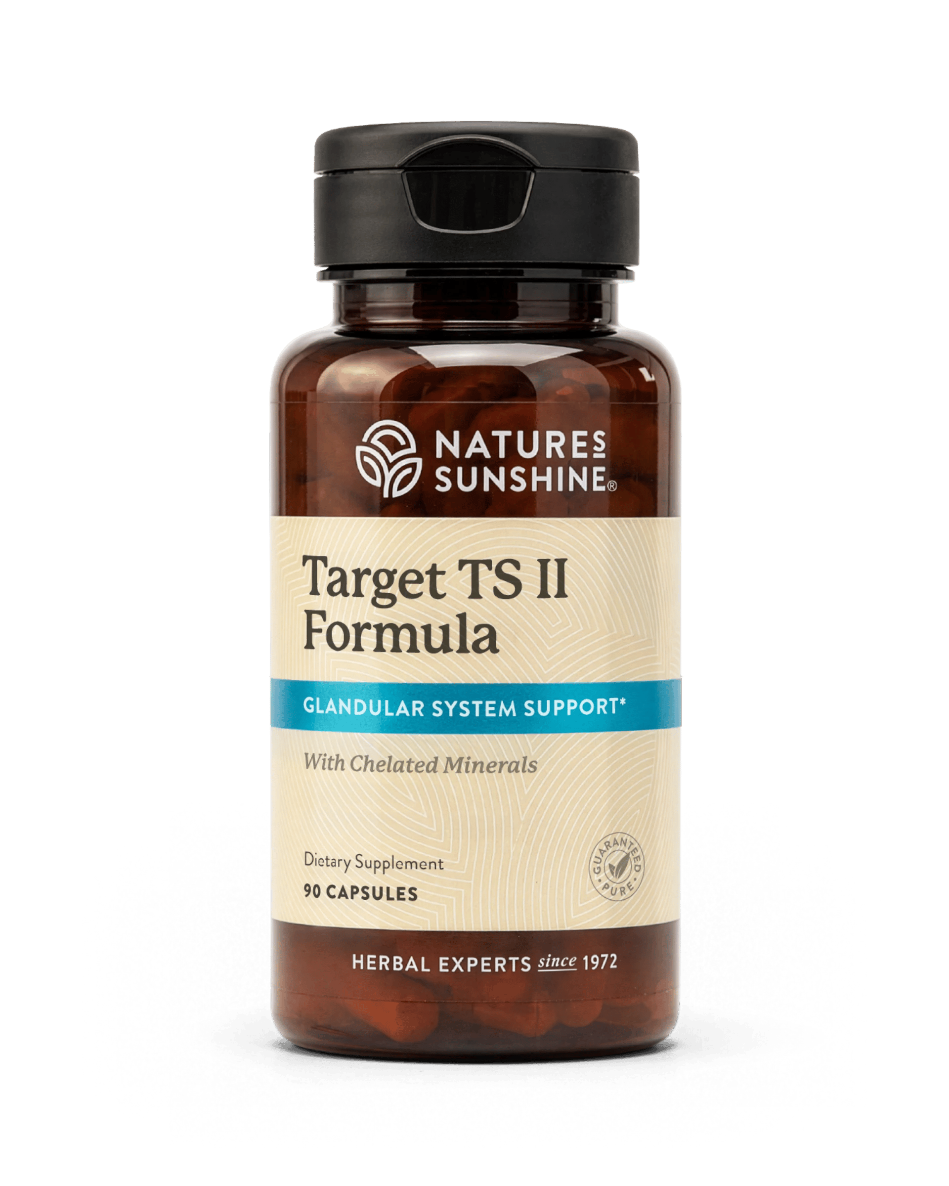 Nature's Sunshine Target TS II bottle, 90 Capsules