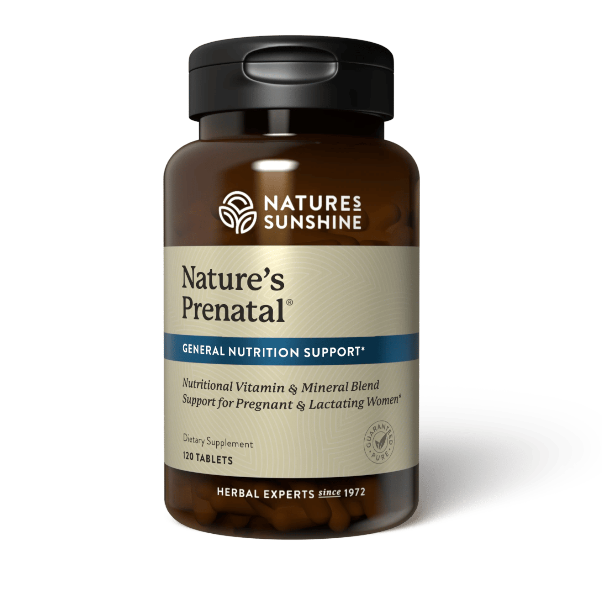 Nature’s Prenatal Multivitamin  (120 tablets)