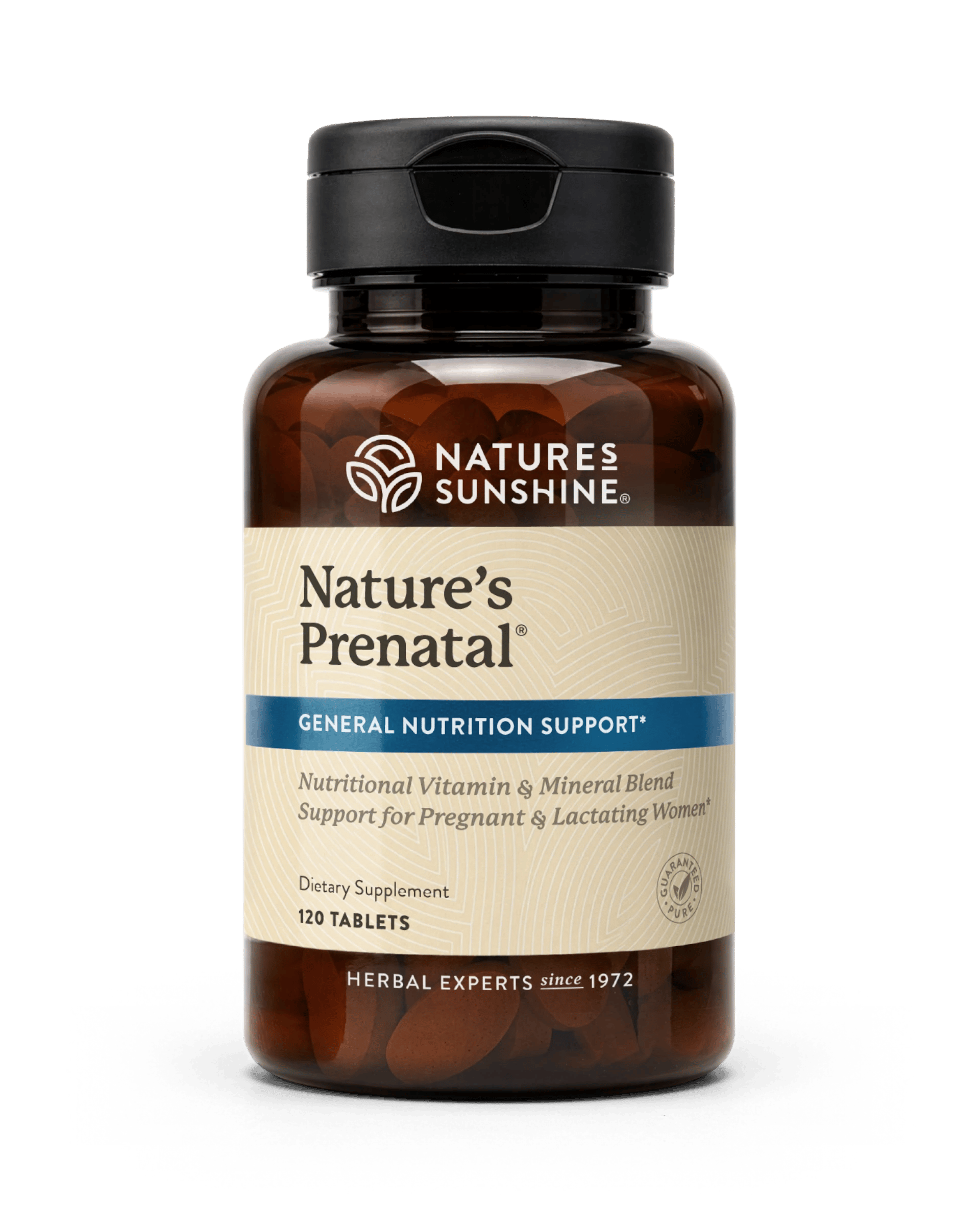 Nature's Sunshine Nature's Prenatal bottle, 120 Tablets