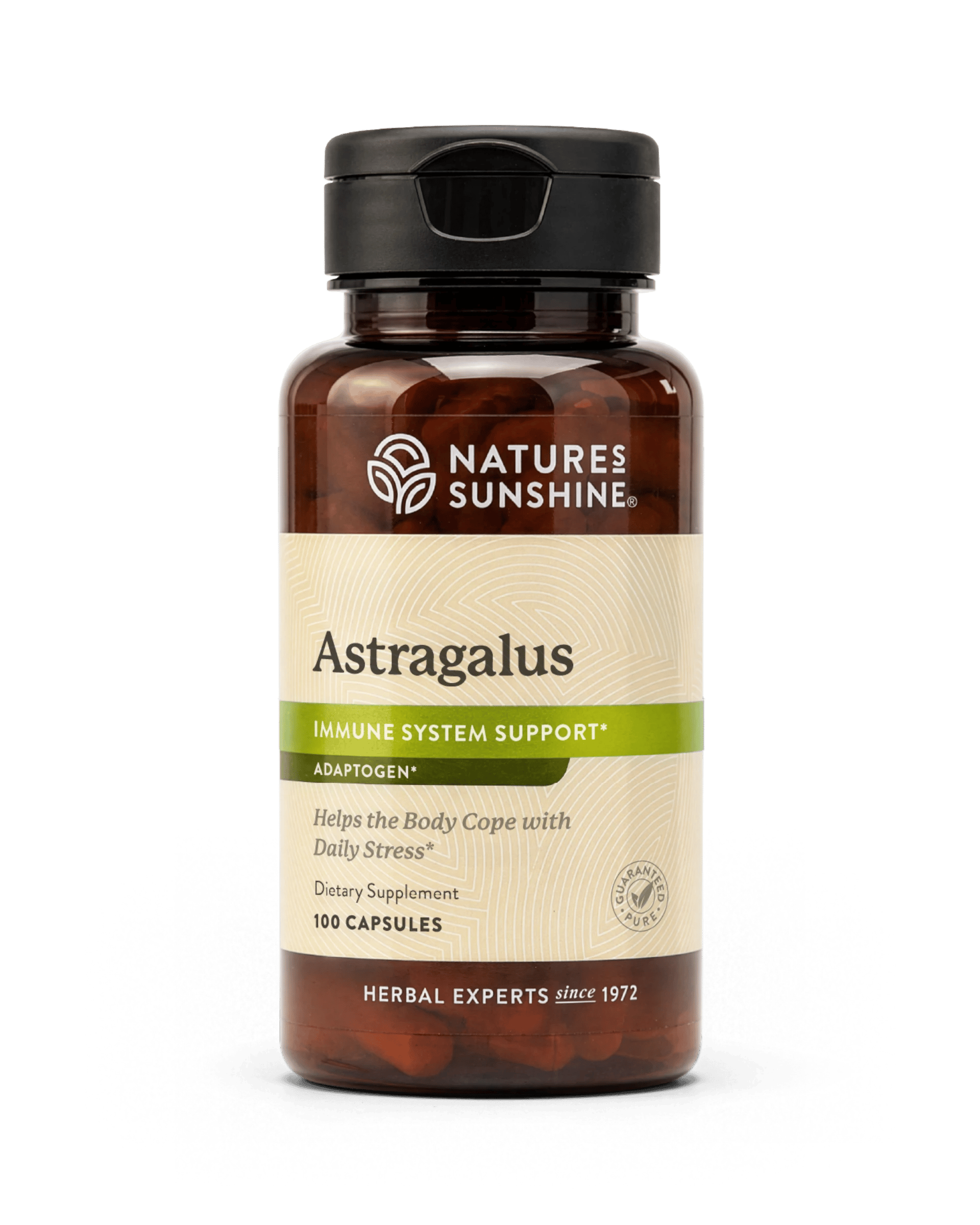 Nature's Sunshine Astragalus bottle, 100 Capsules