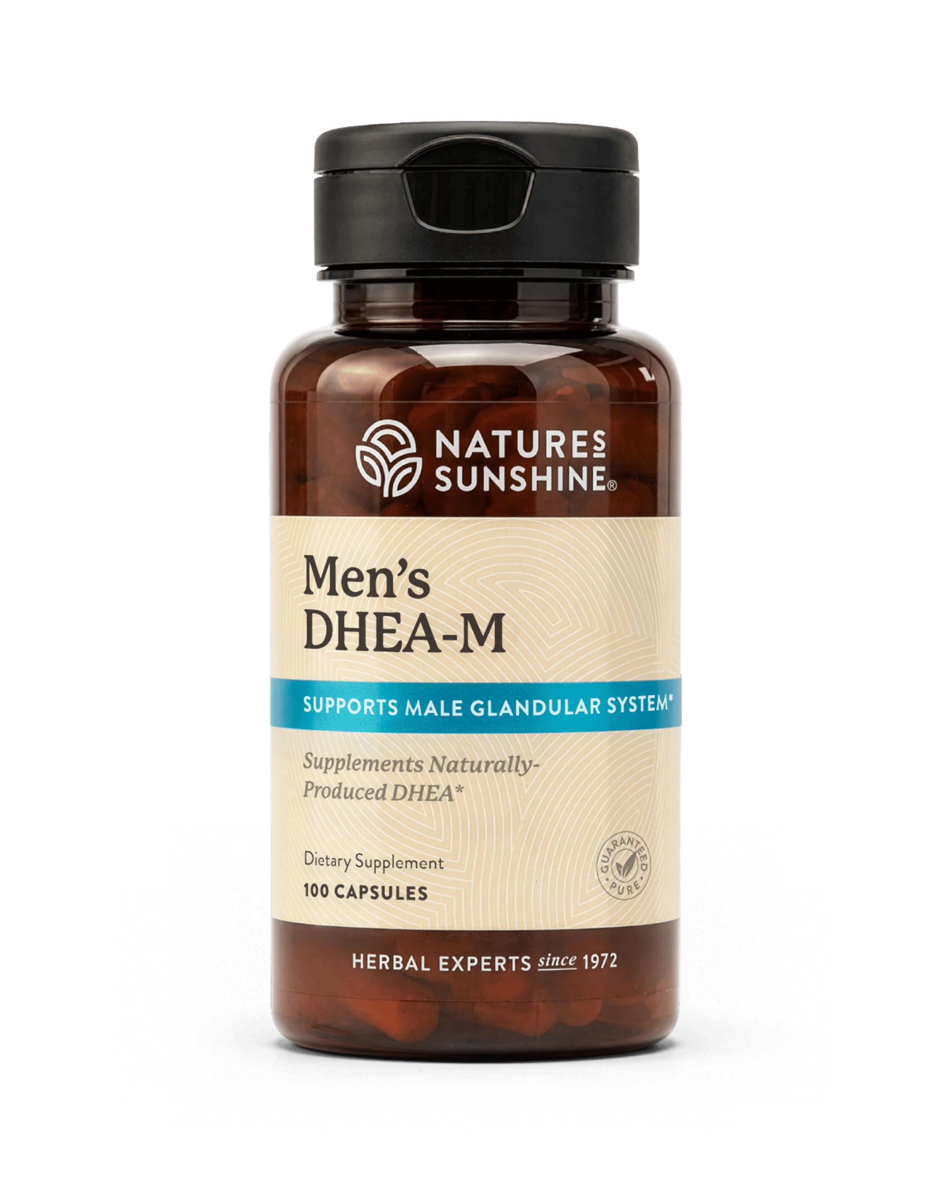 Nature's Sunshine DHEA-M (Men's) bottle, 100 Capsules