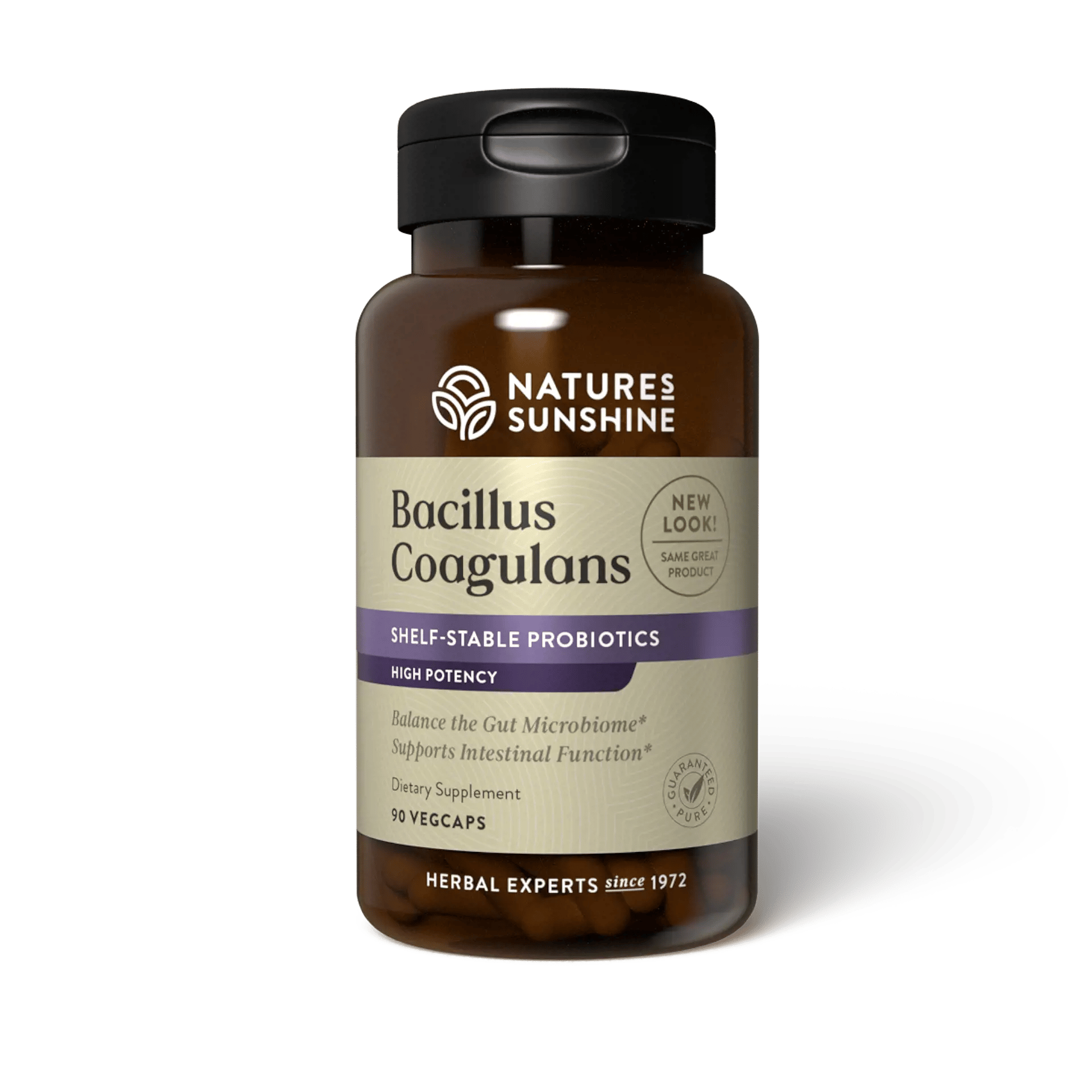 Bacillus Coagulans, NutriBiome (90 capsules)