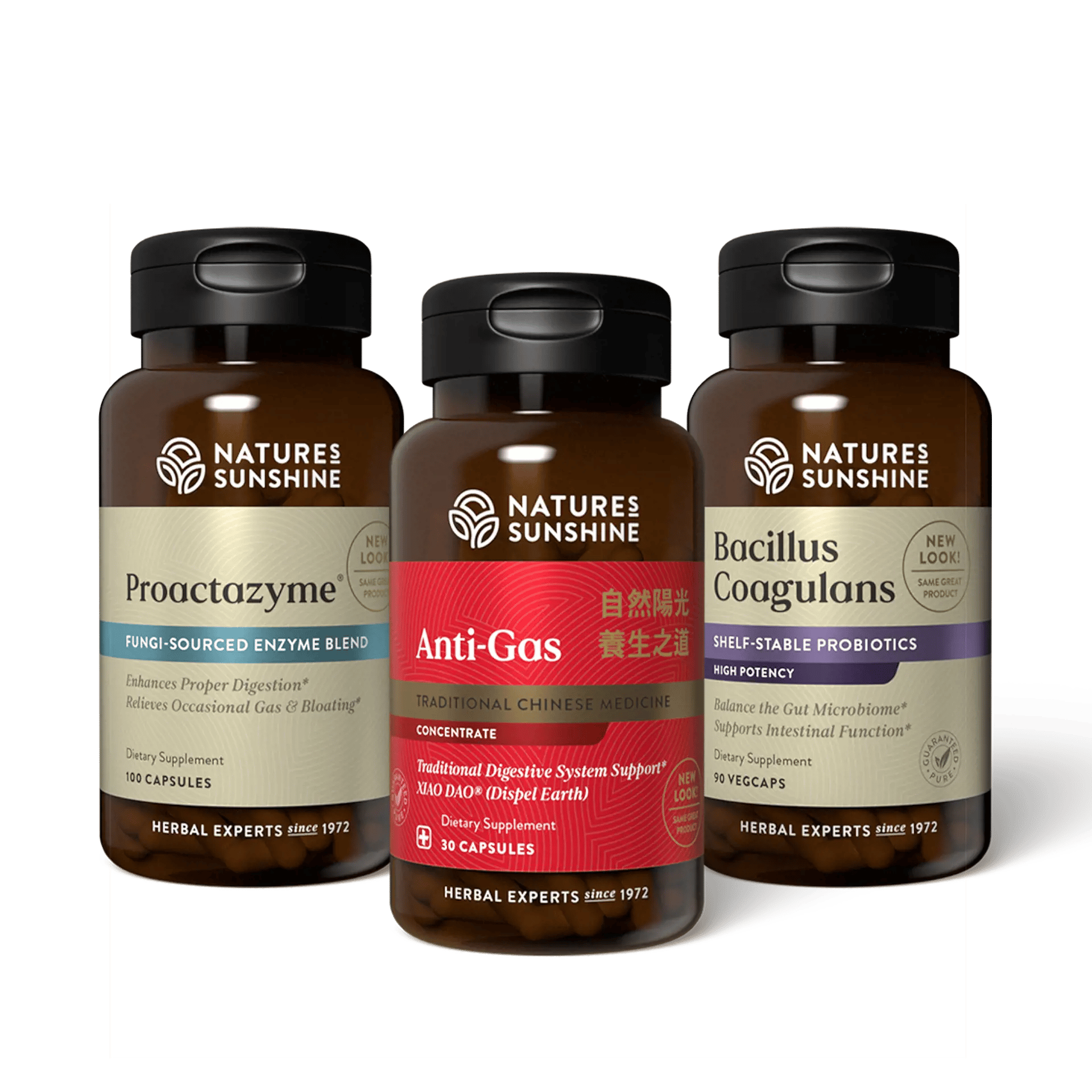 LusK634078_Digestive_System_pack-1920.webp