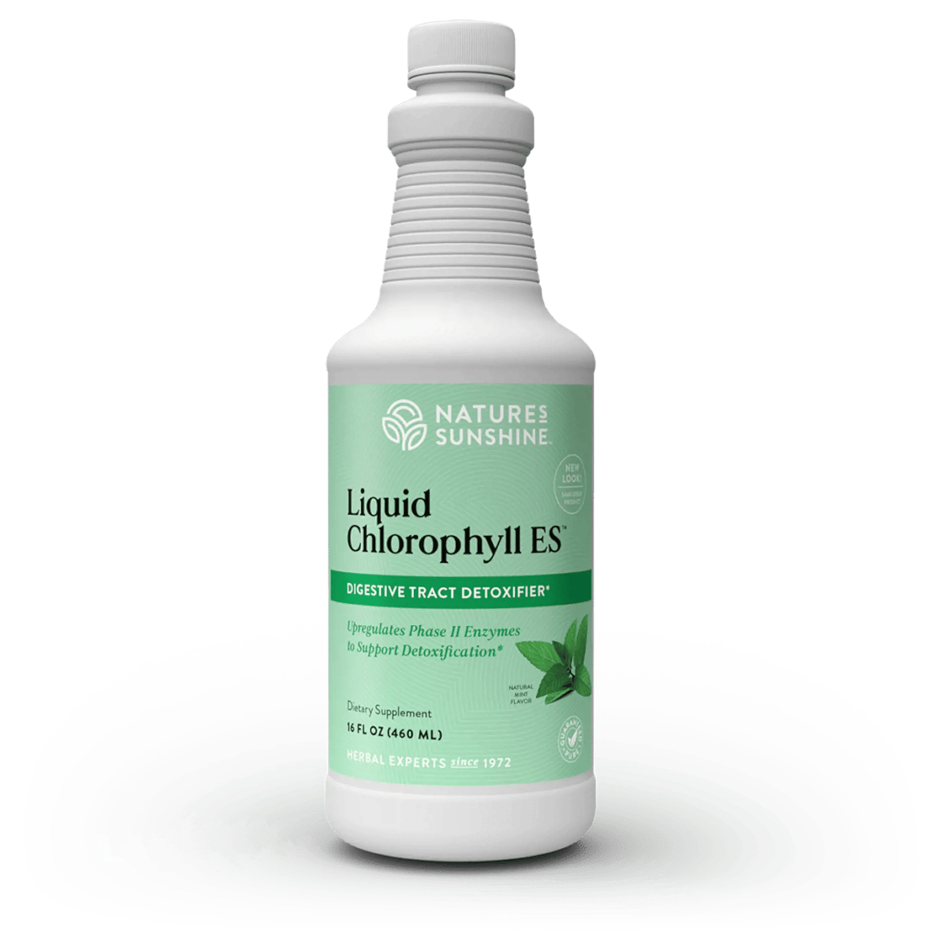 Chlorophyll ES, Liquid (Two 16 fl. oz. bottles)
