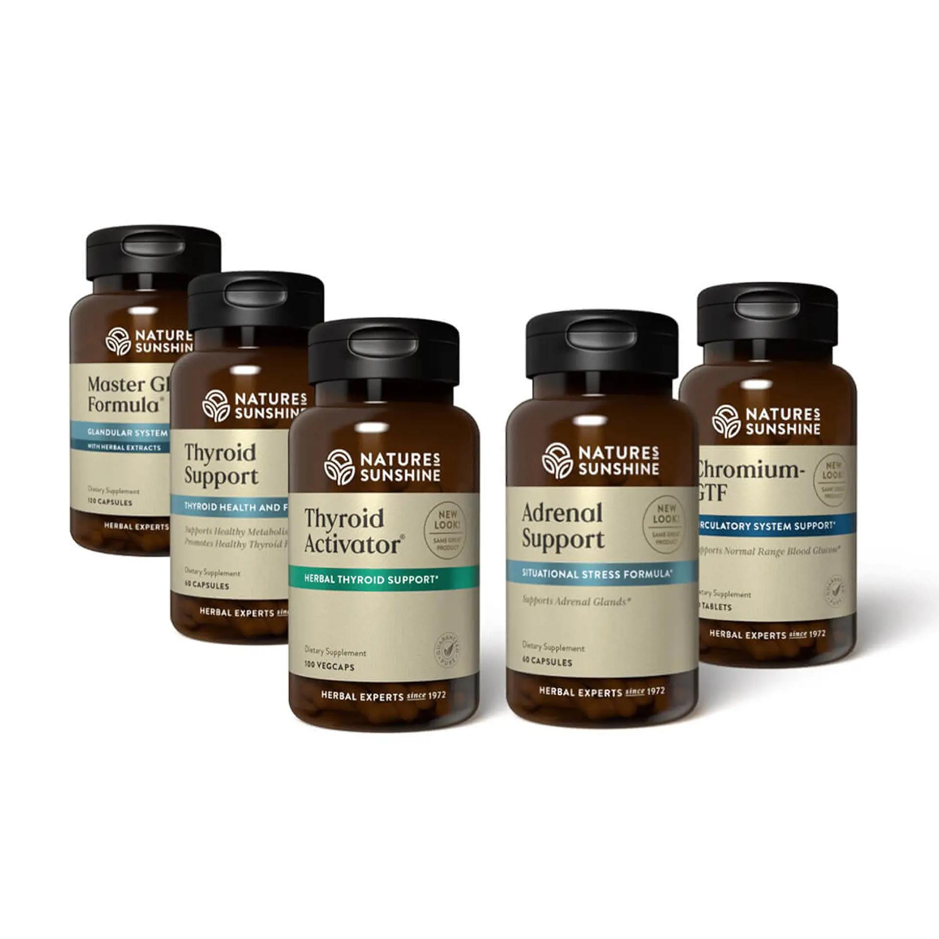 Endocrine Essentials Kit