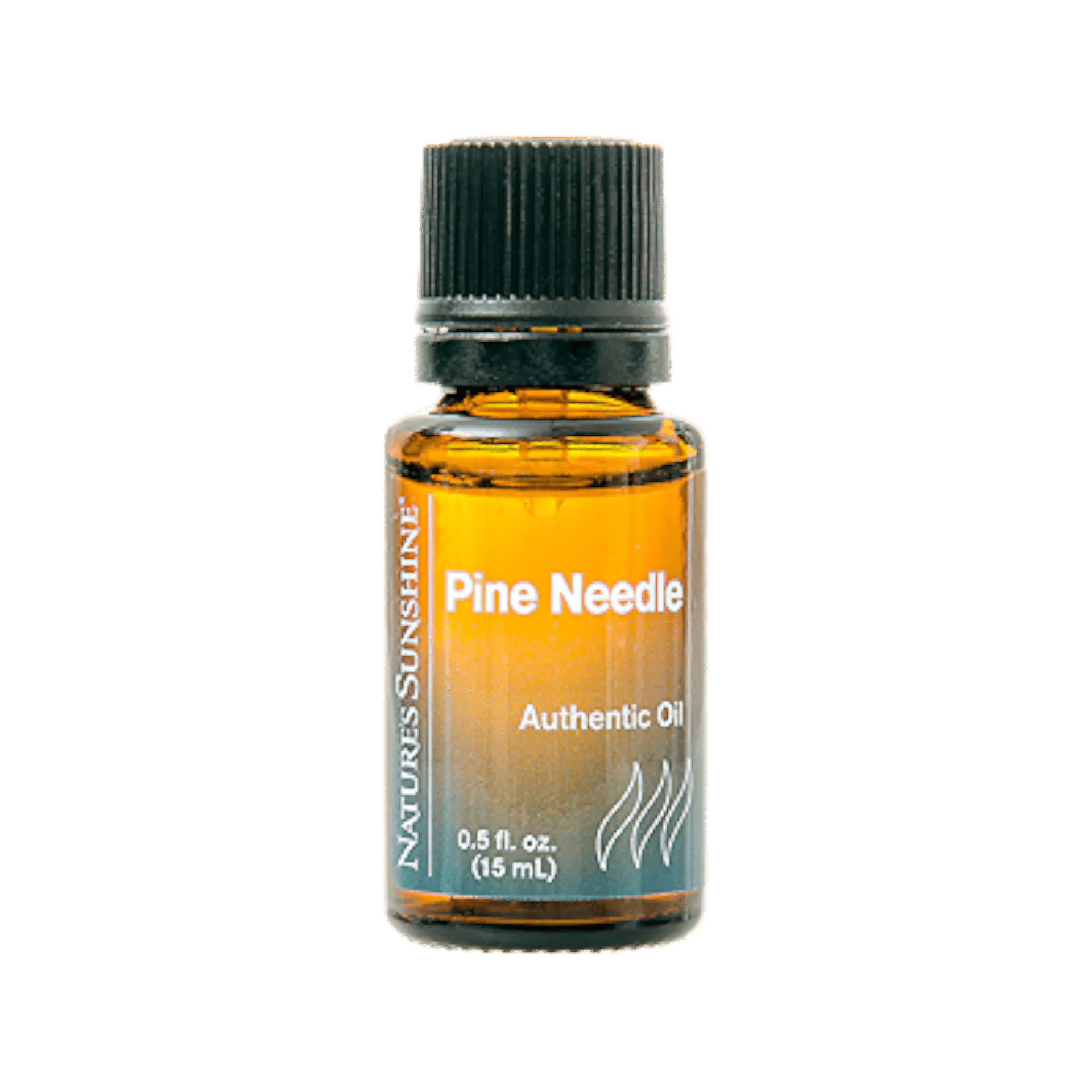 Pine Needle Essential Oil
