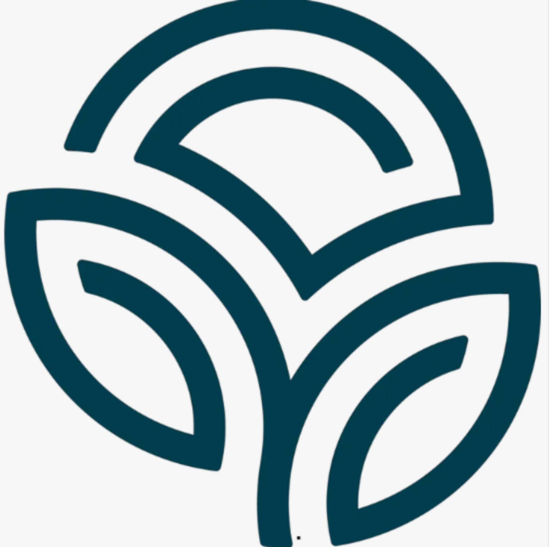NSP Logo